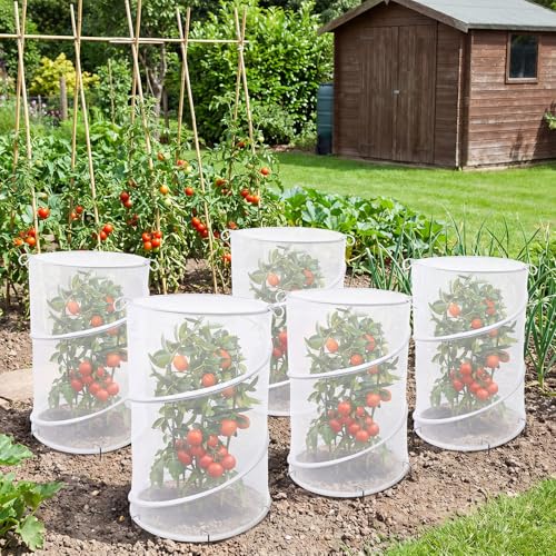 6 Pack Pop up Plant Covers 20"Hx12"D Insect Barrier Mesh Plant Cover
