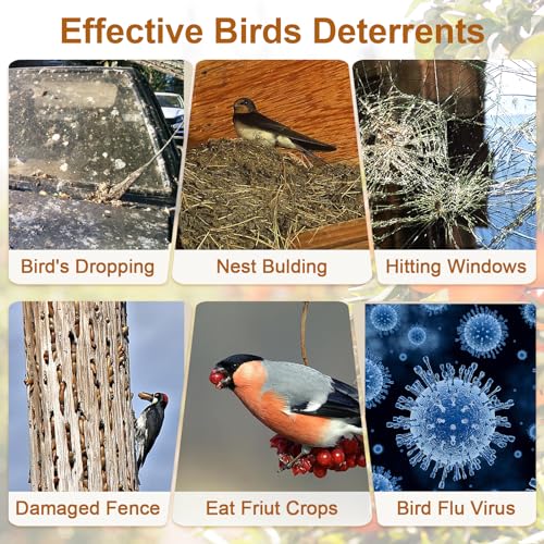 Owl to Keep Pigeons Away, 5 Pack Fake Owls, Pigeon Scare - color: Amazed Eagle 5pc