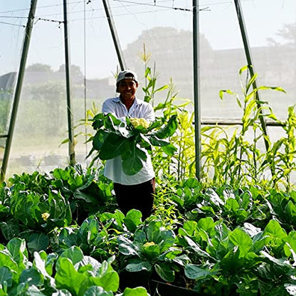 Garden Netting Pest Barrier: 4'x10' Fine Bug Netting - size: 4'x10'