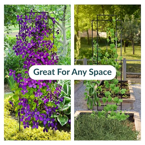 Sunnydaze 60" Black Metal Garden Trellis for Climbing Plants, 2-Pack - style: Chic Diamonds - 60"