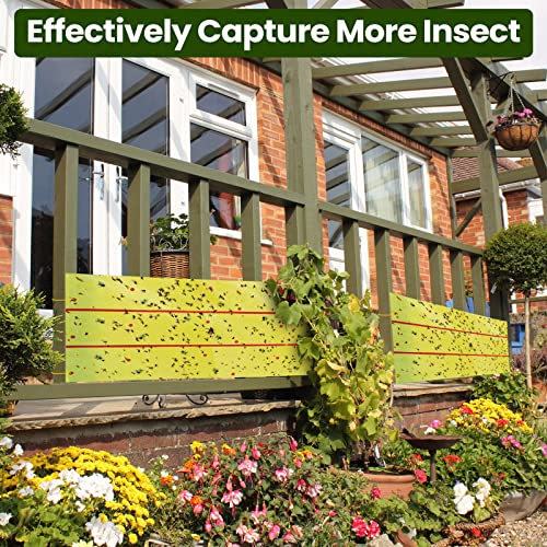 Qualirey 2 Pcs Giant Flypaper Fly Traps, 295ft Sticky Yellow and Green - color: Yellow
