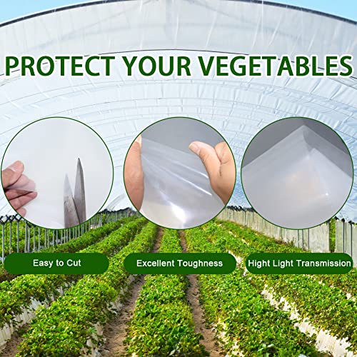 LSGCQ 6 mil Greenhouse Plastic Film Sheeting Cover, 10 x 26 Ft - size: 10 X 26 Ft