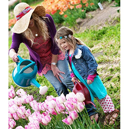Bloem Watering Can Deluxe 2 Gallon (256 Fl Oz) Bermuda Teal Green (Pack of 2) - color: Bermuda Teal Green, size: 2.5 Gallon (Pack of 2)