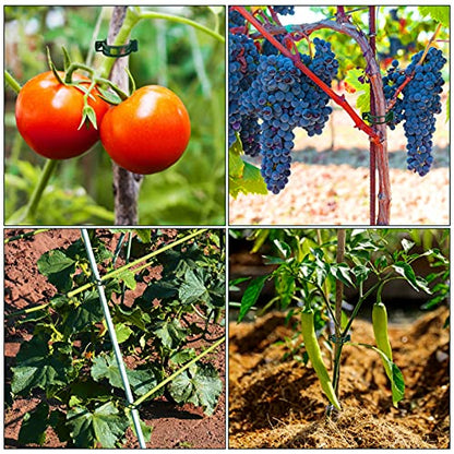 Plant Support Clips 100 PCS, Tomato Vine Clips, Trellis Plastic Clips, Garden Vine Fixing Clips for Climbing Plants, Tomato, Grape, Vegetables and Plants Stalks, Green