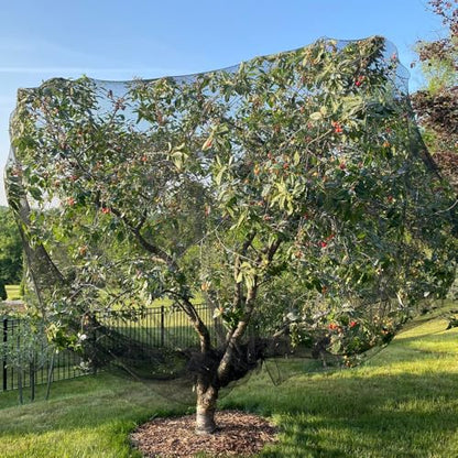 Bird Netting for Chicken Coop 50x100 Ft, 1" Mesh Aviary Netting - size: 50x100Ft-1"