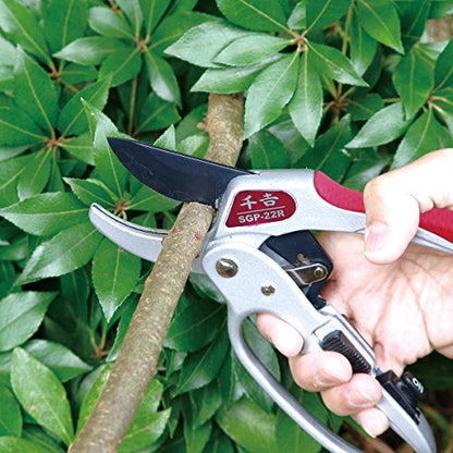 Senkichi Ratchet type pruning shears SGP-22R (Japan Import)