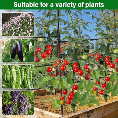 Garden Arch Trellis for Climbing Plants