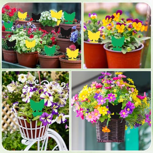 60 Pack Fruit Fly Traps Fungus Gnat Sticky Traps Yellow Black Green Plant Fly Stickers Double Side with Shovel for Indoor Outdoor Kitchen Garden Houseplant Flying Bug Insect (Butterfly) - style: Butterfly