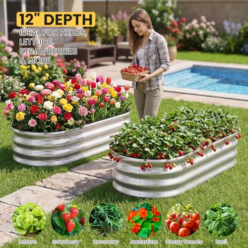 Galvanized Raised Garden Bed Outdoor, 4x2x1FT Planter Box, Silver - color: Silver, size: 4x2x1ft (2 PCS)