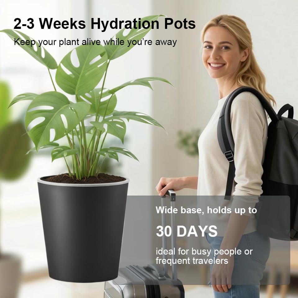 6 inch self Watering Pot with Clear Nursery Pot Inside,Black,6pack - color: Black, size: 6in(6pack)
