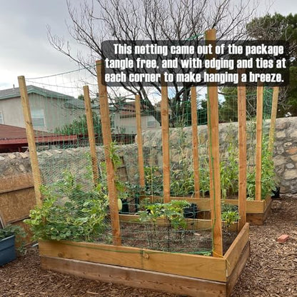 Trellis Netting, Heavy-Duty Garden Grow Netting for Climbing Plants, Outdoor Indoor Net for Cucumber, Tomatoes, Beans, Clematis, Fruits & Vegetables, Climbing Vining Plants (8.2' x 6.6'Ft) - size: 8.2' x 6.6'Ft