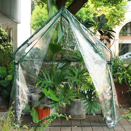 Gardzen Small Walk-in Greenhouse, 36.2"(L) x53.3(W) x66.1(H) - size: 36"(L) x53"(W) x66"(H)