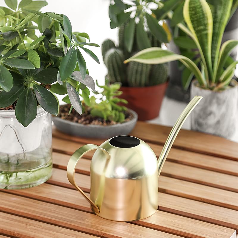 Gold Watering Can for Indoor Plants, 450ml/15oz Metal - size: Gold 15 oz