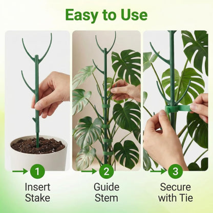10 Pack Stackable Monstera Plant Support Stakes for Indoor & Outdoor Plants,Plant Support Structures for Climbing and Potted Plants,Plant Sticks for Vine Training & Stem Stabilization
