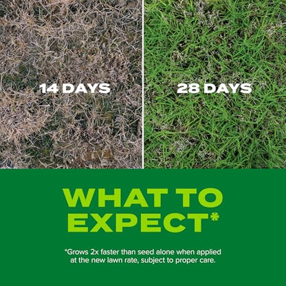 Scotts Turf Builder Rapid Grass Bermudagrass, 1 lb. - size: 1 lb.