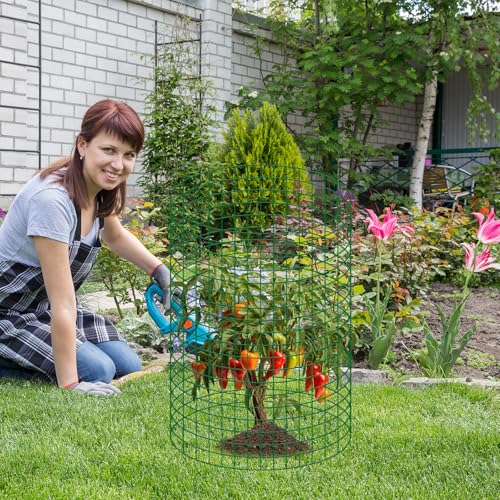 10 Sets 20"x 12" Wire Plant Protector from Animals, Plant Protector Cages - color: Green-10pcs