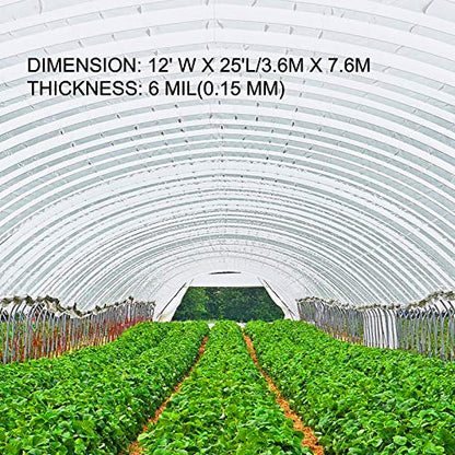 VEVOR Greenhouse Plastic Sheeting 12 x 25 ft, 6 Mil Thickness UV Resistant Clear Polyethylene Film, Hoop Green House Cover for Farms, Agriculture, Garden - size: 12 x 25 ft