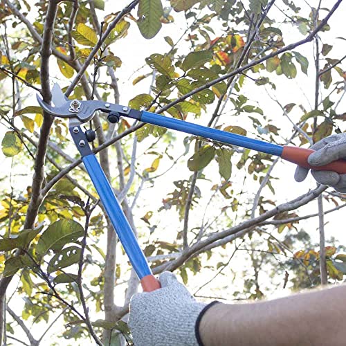 Jacto Tree Trimmer - 23in Bypass Loppers Heavy Duty Loppers for Thick Branches Up to 1.2in for Branch and Limb Cutting