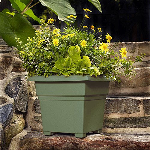 Root & Vessel Countryside Square Tub Planter, Sage, 18-Inch - color: Sage, size: 18-Inch