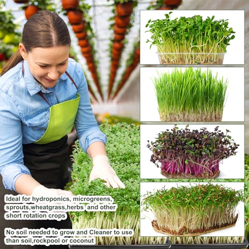 32 PCS Microgreen Mats, 5" X 5" Plant Grow Mat Hydroponic Grow Pads Microgreens Sprouting Mats Microgreens Kit for 1020 Germination Trays Wheatgrass Sprouts - size: 32PCS 5''x5''