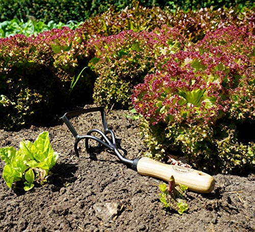 DeWit Culti-Weeder with Short Handle