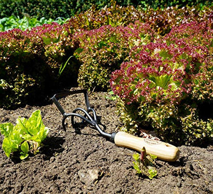 DeWit Culti-Weeder with Short Handle