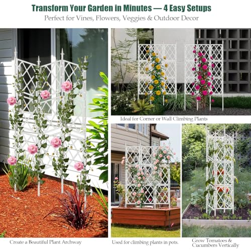 WellSign 63 Inch Metal Pipe Garden Trellis for Climbing Plants Outdoor - color: White