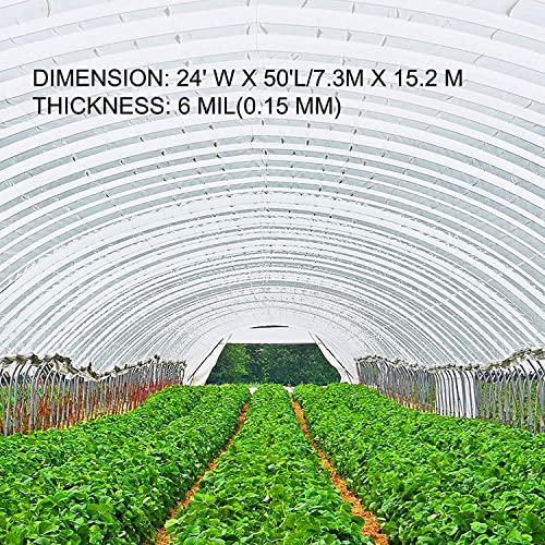 VEVOR Greenhouse Plastic Sheeting 24 x 50 ft, 6 Mil Thickness UV Resistant Clear Polyethylene Film, Hoop Green House Cover for Farms, Agriculture, Garden - size: 24 x 50 ft