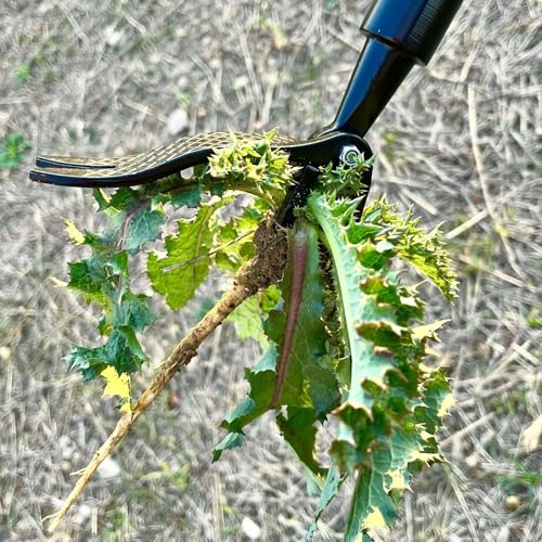 Weed Puller Tool, Metal Stand Up Weed Puller Tool with Long Handle, 4 Claw Steel Head Weeder Tool with 4-Sectioal Pole Design, Garden Hand Weeding Tool, Smoothly Remove Weeds Without Kneeling (Black)