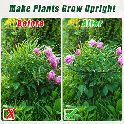 Peony Cages and Supports, 30"H x 13.8"D Plant Supports for Outdoor Plants - size: 30"H x 13.8"D
