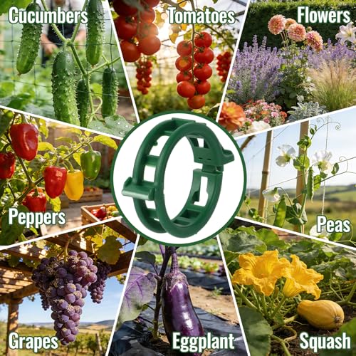 300Pcs Thickened Tomato Clips, Plant Support Clips Plastic Trellis Clips - color: Green