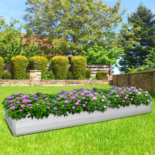 Galvanized Raised Garden Bed Kit, Metal Planter for Vegetables & Herbs, 13.5x3x1FT, Easy Assembly - size: 13.5x3x1FT
