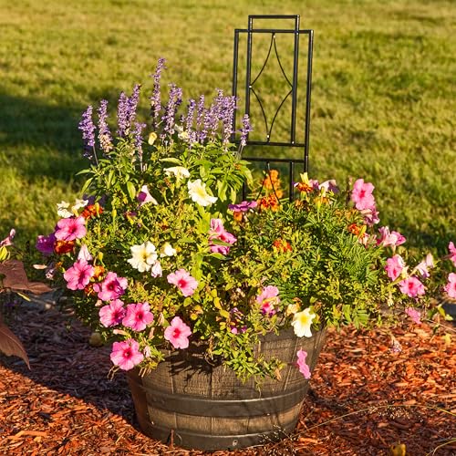 Sunnydaze 48" Black Metal Garden Trellis for Climbing Plants, 2-Pack - style: Chic Diamonds - 48"