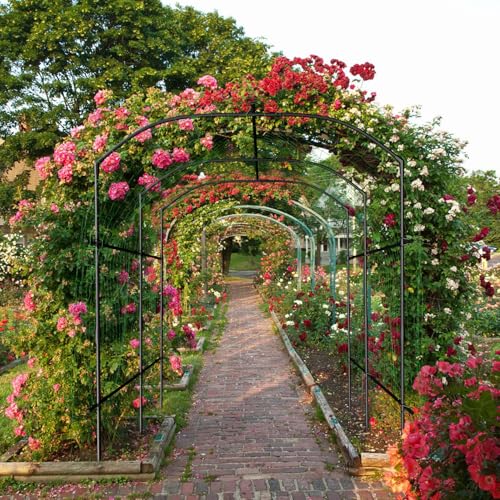 SUNYRISY Garden Arch Trellis for Climbing Plants Outdoor 87" x 71" x 75" - size: 87"H x 71"L x 75"W