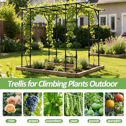 Grape Vine Trellis,Heavy Duty Metal Plant Support Trellis-96L*62 * 79H in - size: 95.7（L）*61.6(W)*78.5(H) in