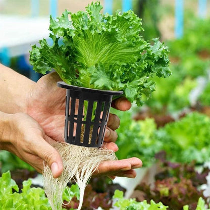 100PCS 1.75" Mesh Net Cup Pots Basket Hydroponics System Supplies Aquaponics Seed Growing Media Black - color: Black 100pcs