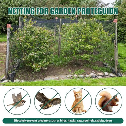 25x50ft Heavy Duty Bird Netting, 1" Mesh for Garden Fruit Trees - size: 1‘’-25×50FT