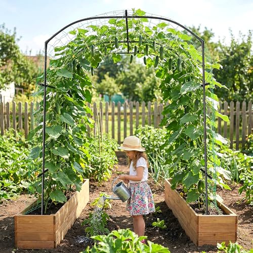 DoCred Garden Arch Trellis, 87''H x 75''L Metal Trellis for Climbing Plants - size: 75" L x 71" W x 87" H
