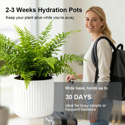 Small Ceramic self Watering Pot for Succulents, 4 inch, White,2pack - color: White, size: 4 inch