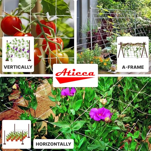 ATICCA 79 in x 328 FT Heavy Duty Plastic Trellis Netting 6-Inch Mesh, White - size: 79''x328ft Plastic Trellis Netting