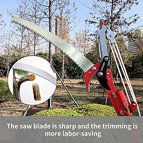 BAYTORY Extendable Tree Pruner Saw Head Without Pole, High-Altitude Branches Trimmer Pruning Shears, Harvester Clipper for Plant Twig Vine, Garden Trimming Tool - style: Iron Connector | 2-Wheel