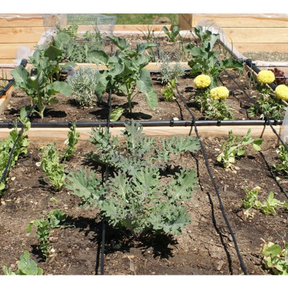 Drip Depot Drip Irrigation Kit for Raised Bed Gardening - Premium - 8 Raised Beds - size: Premium - 8 Raised Beds