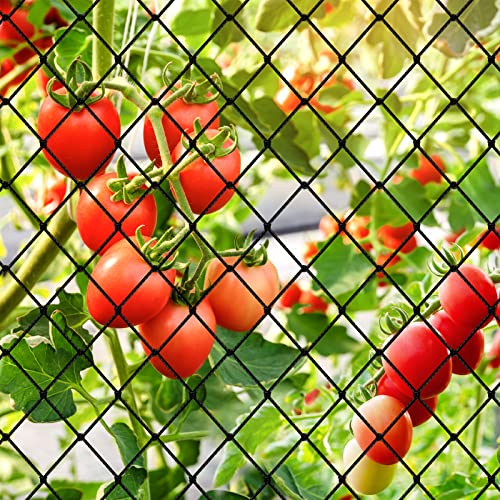 Bird Netting 50x50ft with 3/4" Mesh, Poultry Netting for Chicken Coop - size: 3/4", 50' x 50'