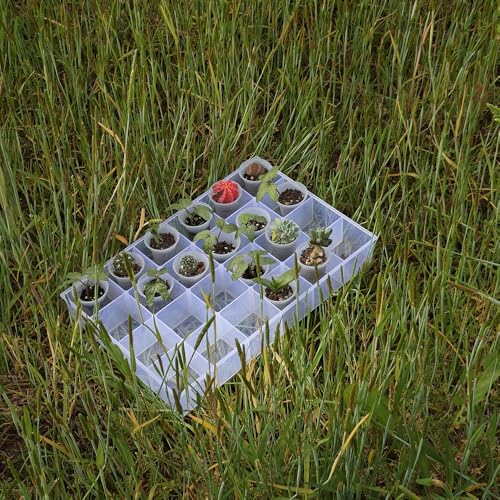 300 Pack 1.80 Inch Tiny Clear Plastic Nursery and Seedling Pot, Mini Transplant Seed Starter Planter with Drain Hole for Germination, Herb, Succulent