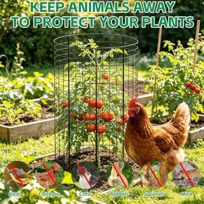 6 Pack Large Wire Plant Protector from Animals 18"x12" Metal Plant Cage - size: 18"x12"