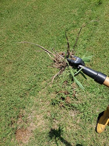 Edward Tools PullPro Long Handle Weed Puller Tool - 48" Classic Heavy Duty Hardwood Handle with 4 Claws Steel Head - Improved Stand Up Weed Remover Tool - Easy Stand Up Tool for Seniors
