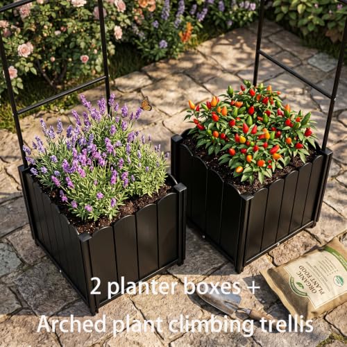 Raised Garden Bed with 3-in-1 Arch Trellis, & Black Plastic Planters