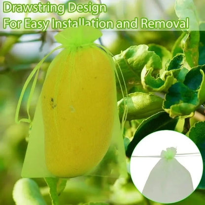 10Pcs/Set Fruit Protection Bags, Green Netting Cover Bags Drawstring Mesh Fruit Protectors Pest Barrier for Grapes Trees Veggies (Large, 20x30cm) - color: Medium