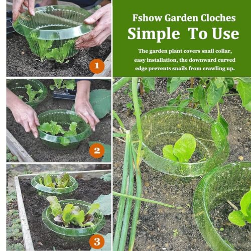 Fshow Slug & Snail Collars,30pcs Snail Garden Cloches,Snail Collar Protects Plants to Get Better. - color: green 30pcs