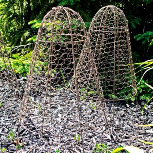 Set of Six Panacea 83280 Rustic Wire Garden Cloches, 20" H Each